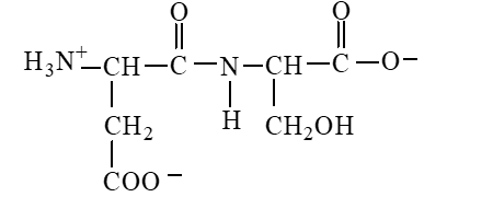 <strong>The form of dipeptide aspatylserine (Asp-Ser) obtained from two amino acids, aspartic acid and serine, whose structures are shown here, is </strong> A) B) C) D)