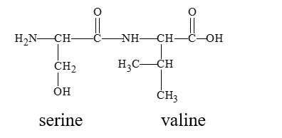 <strong>Where is the peptide bond located in this dipeptide? </strong> A) the CO-NH joining serine and the valine B) the doubly bonded oxygen just left of center between the amino acids C) the CH-CO on the top of the serine going to the right D) the NH-CH between the serine and valine