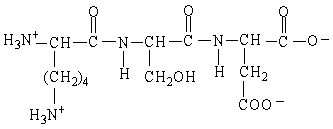 <strong>What is the net charge on the oligopeptide in the figure shown here at pH 1? </strong> A) 3+ B) 1+ C) 2+ D) 0