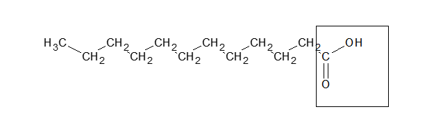 <strong>Shown below is the structure of the fatty acid, lauric acid: The boxed portion is considered to be both</strong> A) hydrophilic and hydrophobic. B) polar and hydrophobic. C) polar and hydrophilic. D) nonpolar and hydrophilic.