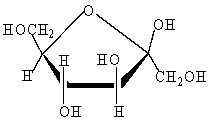  <strong>Shown below is a cyclic form of D-Fructose. This structure is classified as ___.  </strong> A)  \alpha -D-fructopyranose B) \beta -D-fructopyranose C)  \beta -D-fructofuranose D)  \alpha -D-fructofuranose <div style=padding-top: 35px>  