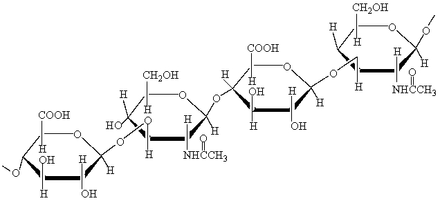 <strong>Hyaluronic acid solutions serve as lubricants in the fluid of joints and are present in the vitreous humor of the eye. A portion of its structure is shown below.   Which of the following statements is true?</strong> A) Hyaluronic acid is a homopolysaccharide. B) Hyaluronic acid is a heteropolysaccharide. C) Hyaluronic acid is made of D-glucose residues. D) The monosaccharide residues in hyaluronic acid are of furanose form. <div style=padding-top: 35px> 