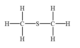 <strong>The short thiols tend to have a disagreeable odor. Which is a thiol?</strong> A) B) C) D) None of these choices.
