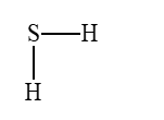 <strong>The short thiols tend to have a disagreeable odor. Which is a thiol?</strong> A) B) C) D) None of these choices.