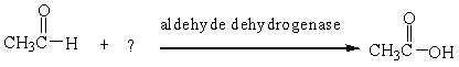 <strong>Which of the following oxidizing agents is necessary to complete the biochemical reaction below? </strong> A) K<sub>2</sub>Cr<sub>2</sub>O<sub>7</sub> B) NAD<sup>+</sup> C) Cu<sup>2+</sup> D) NADH