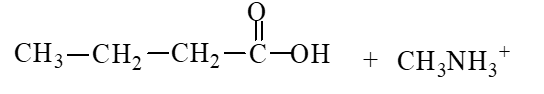<strong>The products of the hydrolysis reaction below are </strong> A) B) C) D)