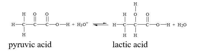 <strong>Which of the conditions below would drive this reaction to the right? </strong> A) removing hydronium ion B) adding lactic acid C) adding water D) adding pyruvic acid
