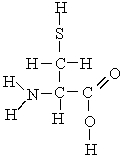 <strong>Which atoms in the following molecule would have \delta <sup>- </sup>charge based on the electronegativities of the elements? </strong> A) H, C, and O B) N, O, and S C) C and N D) N, S, and C