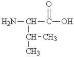 <strong>Which of the following represents the zwitterions form of the amino acid valine?</strong> A) B) C) D)