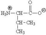 <strong>Which of the following represents the zwitterions form of the amino acid valine?</strong> A) B) C) D)