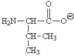 <strong>Which of the following represents the zwitterions form of the amino acid valine?</strong> A) B) C) D)
