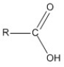 <strong>Which of these molecules is an ester?</strong> A) B) C) D)