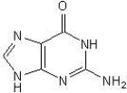 <strong>The structure of guanine is:</strong> A) B) C) D)