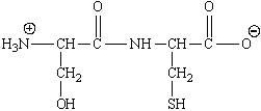 <strong>This dipeptide is designated as: </strong> A)Ser-Lys B)Ser-Cys C)Cys-Ser D)Lys-Ser