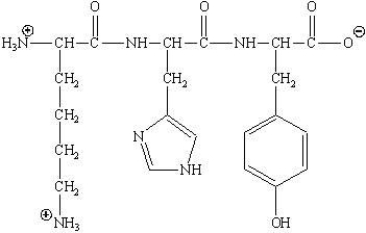 <strong>What amino acids are involved in the following tripeptide? </strong> A)Lys-His-Phe B)Lys-His-Tyr C)His-Lys-Phe D)Tyr-His-Lys