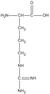 <strong>Identify the amino acid that would only involve hydrophobic interactions in the tertiary structure of a protein.</strong> A) B) C) D)