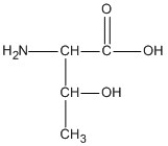 <strong>Identify the amino acid that would only involve hydrophobic interactions in the tertiary structure of a protein.</strong> A) B) C) D)