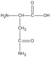 <strong>Identify the amino acid that could form salt bridge interactions in the tertiary structure of a protein.</strong> A) B) C) D)