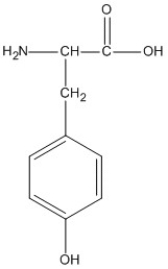 <strong>Identify the amino acid that could form salt bridge interactions in the tertiary structure of a protein.</strong> A) B) C) D)