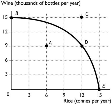 <strong>  The above figure shows the production possibility frontier for a country.Suppose the country is producing at point A.What is the opportunity cost of increasing the production of rice to 12 tonnes?</strong> A)12 tonnes of rice B)9 thousand bottles of wine C)6 thousand bottles of wine D)15 thousand bottles of wine E)Nothing,it is a free lunch. <div style=padding-top: 35px> 