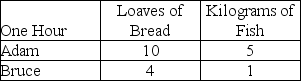 <strong>The table below shows the maximum amount of bread and fish that Adam and Bruce can each produce in one hour. According to the numbers in this table,  </strong> A) Bruce has a comparative advantage in fish production. B) Adam's opportunity cost of 1 loaf of bread is 2 kilos of fish. C) Bruce's opportunity cost of 1 loaf of bread is 4 kilos of fish. D) Bruce's opportunity cost of 1 kilo of fish is 1/4 loaves of bread. E) Adam has a comparative advantage in fish production. <div style=padding-top: 35px> 