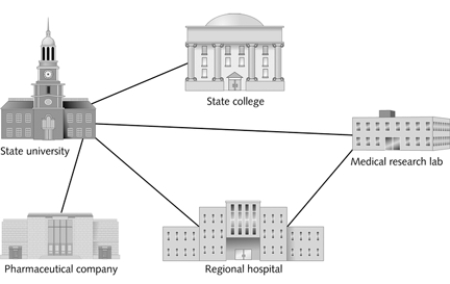   What kind of network is shown in the figure above?