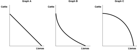 <strong>Figure 2.2   Refer to Figure 2.2.Steve Vignetto raises cattle and llamas on his land.His land is equally suitable for raising either animal.The graph in Figure 2-2 that represents his production possibility frontier is:</strong> A)Graph A. B)Graph B. C)Graph C. D)either Graph B or Graph C. <div style=padding-top: 35px> 