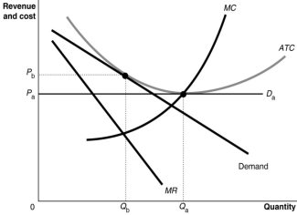 Figure 10.18 -Refer to Figure 10.18.The diagram demonstrates that