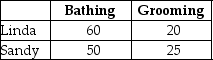 <strong>Table 13.1 Linda and Sandy own The Preppy Puppy, a dog grooming business.Table 13.1 lists the number of dogs Linda and Sandy can each bathe and groom in one week. Refer to Table 13.1.Select the statement that accurately interprets the data in the table.</strong> A)Sandy has a comparative advantage in dog grooming. B)Linda has a comparative advantage in dog grooming. C)Linda has a comparative advantage in dog grooming and dog bathing. D)Sandy has a comparative advantage in dog bathing.