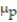<strong>What is the best point estimate for p in order to construct a confidence interval for p?</strong> A) B) C) D)