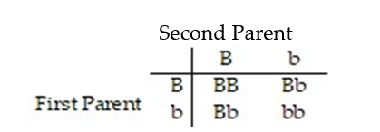 <strong>This problem deals with eye color, an inherited trait. For purposes of this problem, assume that only two eye colors are possible, brown and blue. We use b to represent a blue eye gene and B a brown eye gene. If any B genes are present, the person will have brown eyes. The table shows the four possibilities for the children of two Bb (brown-eyed) parents, where each parent has one of each eye color gene. Find the probability that these parents give birth to a child who has blue eyes.</strong> A) B) 0 C) 1 D)