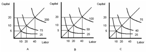 <strong> -Refer to Figure above. Which graph represents decreasing returns to scale?</strong> A) A B) B C) C D) Both graph A and graph C