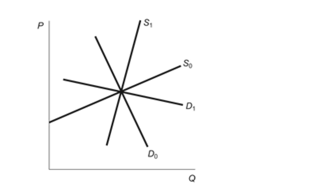 <strong>(Figure: Elasticities of Supply and Demand) Whichcombination of demand and supply curves results in thegreatest tax burden to buyers? Figure: Elasticities of Supply and Demand </strong> A)D0 and S0 B)D<sub>1</sub> and S<sub>1</sub> C)D0 and S<sub>1</sub> D)D<sub>1</sub> and S0