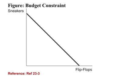 <strong> (Figure: Budget Constraint) Refer to the figure. If the price ofsneakers rises, then the budget constraint in the figure will:</strong> A)not change. B)become steeper. C)become flatter. D)shift to the left.