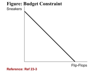 <strong> (Figure: Budget Constraint) Refer to the figure. The slope ofthe budget constraint in the figure above is equal to:</strong> A)the price of sneakers divided by the price of flip- flops. B)the price of flip-flops divided by the price of gas.(True Answer )Correct C)the quantity of flip-flops divided by the quantity of sneakers. D)the quantity of sneakers divided by the quantity of flip- flops.