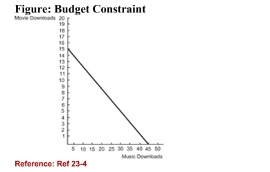 <strong> (Figure: Budget Constraint) Refer to the figure. What is therelative price of music downloads to movie downloads?</strong> A)3 B)1/3 C)5 D)4