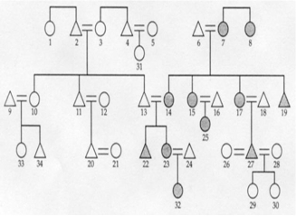 <strong> -In Figure 0801, what specific type of marriage does 27 have?</strong> A) polygamous B) polgynous C) polyandrous D) monogamous