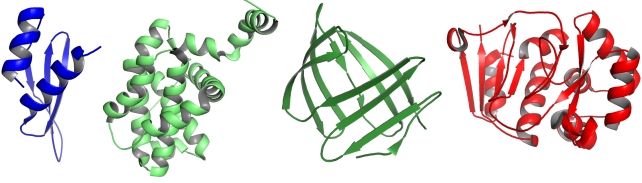 For each of the following cartoon representations from left to right, indicate whether the protein structure is composed of only ? helices (1), only parallel ? sheets (2), only antiparallel ? sheets (3), ? helices plus parallel ? sheets (4), or ? helices plus antiparallel ? sheets (5) as repetitive secondary structure elements. Your answer would be a four-digit number composed of digits 1 to 5 only, e.g. 5513. Images created in PyMOL, from PDB entries 1STU, 2LPC, 1SA8, and 3BOB.