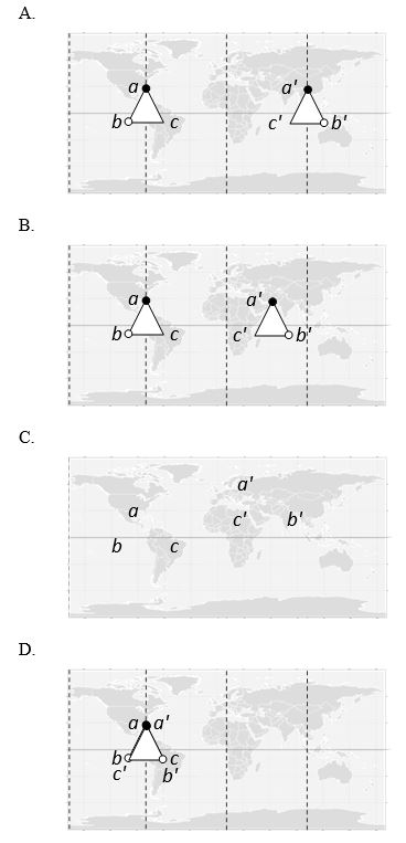 We can try to map the surface of a globular protein in two dimensions just like we depict the surface of the Earth in a world map. On such a map, the binding site of a molecule for other molecules of the same protein (for assembly into a multisubunit complex) can be marked. In the following maps, two molecules of the protein can bind if the points a, b, and c on the surface of one molecule can align to points a′, b′, and c′ in the other molecule, respectively. Which map corresponds to a protein whose assembly gives rise to a helix? Hint: the other maps correspond to a dimer, a ring, and a linear filament.