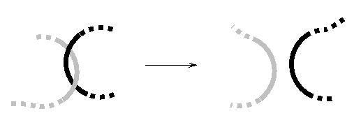 In the following schematic drawing, two DNA molecules are shown before and after the action of a protein that is also involved in the process of DNA replication. What is this protein called?  
