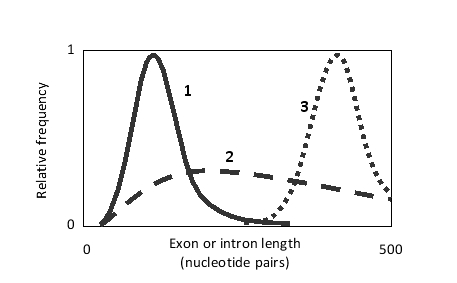 <strong>In the following qualitative histogram, which two curves better correspond to human exon and intron length distributions, respectively? </strong> A) Curves 1 and 2 B) Curves 2 and 1 C) Curves 2 and 3 D) Curves 3 and 2 E) Curves 3 and 1