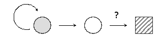 In the following diagram showing the overall flow of genetic information in all living cells, what is the name of the process indicated with a question mark?