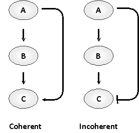 Consider the two feed-forward loops below containing three transcription regulators A, B, and C, where A receives the input signal and C generates the output. In the so-called coherent loop (left), A activates C both directly and indirectly, whereas in an incoherent loop (right), A activates C via one route and inactivates it via the other. Answer the following question(s) based on these network motifs. -Considering coherent and incoherent feed-forward loops, eight different designs are possible using three components and involving activation (positive) and inhibition (negative) regulation only. In all such loops, A would regulate both B and C, and B would regulate only C. How many of these designs constitute a coherent loop? Write down your answer as a number, e.g. 7.