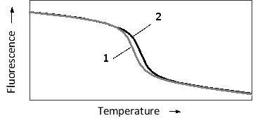 <strong>The specificity of nucleic acid hybridization is remarkable. Even a single mismatch between a probe and a target sequence can be detected depending on hybridization conditions. This sensitivity can be employed in applications such as SNP haplotyping. Consider a probe that is complementary to a 20-nucleotide-long genomic region including a single polymorphic nucleotide. The probe is perfectly complementary to the more common allele, but has one mismatch in the case of the minor allele. The temperature-dependent hybridization of the probe to the single-strand genomic fragment is schematically presented in the following graph. To detect hybridization, a fluorescent dye is added to the reaction. The dye fluoresces strongly only when intercalated between the bases of double-stranded DNA, and is therefore used to quantify double-strand formation or dissociation. Which melting curve (1 or 2) in the graph do you think corresponds to the more common SNP allele? Which curve shows a higher melting temperature? </strong> A) 1; 1 B) 1; 2 C) 2; 1 D) 2; 2
