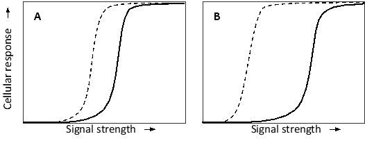 Bistability in a biological system can be accompanied by hysteresis. Consider switchlike cellular responses to a signal molecule, as shown in the following graphs. In each graph, the solid curve corresponds to the change in cellular response when the signal concentration is being increased over time, whereas the dashed curve corresponds to the change when the signal concentration is being decreased. Which graph do you think corresponds to a system with a greater degree of hysteresis? What mechanism is responsible for this behavior?