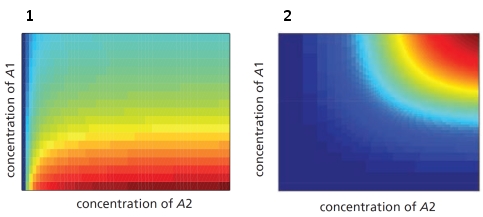 In the schematic graphs below, the red color indicates high gene expression and blue color indicates low gene expression. The expression level is plotted as a function of the concentrations of two transcription regulatory proteins, A1 and A2. Which graph (1 or 2) do you think corresponds to an AND NOT combinatorial logic? Write down 1 or 2 as your answer.    