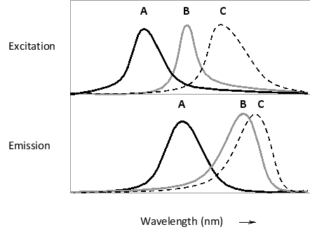 Given the absorption and emission spectra of three fluorescent dyes in the simplified diagrams below, which pair of dyes is better suited for a fluorescence resonance energy transfer (FRET) study? Write down AB, BC, or AC as your answer.