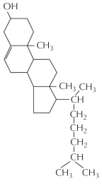 Which of the following is NOT correct regarding the molecule whose structural formula is shown below?