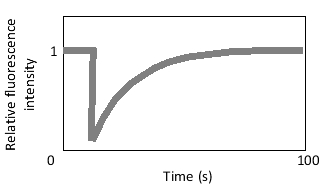 The lateral diffusion of a plasma membrane protein has been studied using the fluorescence recovery after photobleaching (FRAP) technique in a cell under normal conditions, and the following plot has been obtained. Under a different condition (e.g. when a signaling pathway is turned on), the protein binds to a few other proteins and protein complexes in the plasma membrane. As a result, its lateral diffusion coefficient is reduced and a significant fraction of the molecules of this protein are immobilized in large aggregates. How would you expect the FRAP curve to change under these new conditions? The dotted line in each graph is the original curve shown for comparison. E)