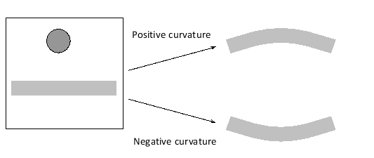 In the schematic drawing below, a protein is present on one side of a membrane in a high-enough quantity to induce curvature in this region of the membrane. In each of the following scenarios, indicate whether the protein would induce positive (P) or negative (N) curvature in the membrane. Your answer would be a three-letter string composed of letters P and N only, e.g. PPP. ( ) The protein inserts a hydrophobic domain into the membrane leaflet that is facing it. ( ) The protein is a phospholipase that cleaves the head group in specific phospholipids. ( ) The protein binds cooperatively to multiple phospholipids with very large head groups.